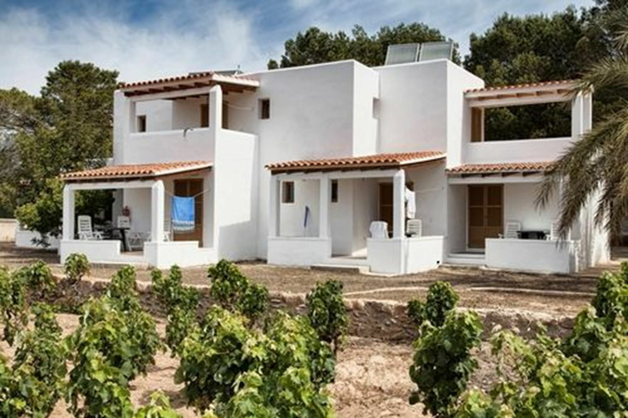 Bungalows Es Pins - Emar Hotels Playa Migjorn Εξωτερικό φωτογραφία