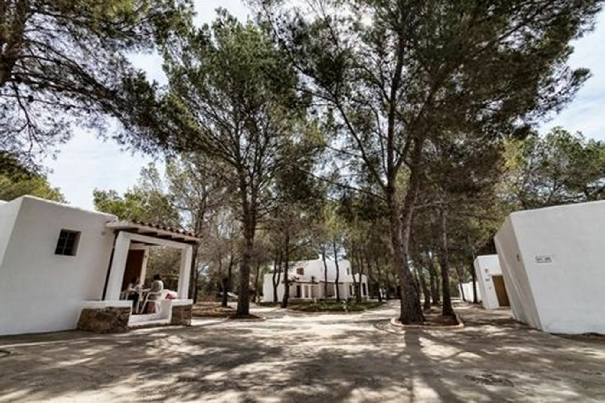 Bungalows Es Pins - Emar Hotels Playa Migjorn Εξωτερικό φωτογραφία
